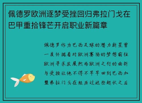 佩德罗欧洲逐梦受挫回归弗拉门戈在巴甲重拾锋芒开启职业新篇章